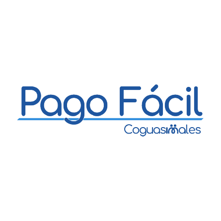 pago facil