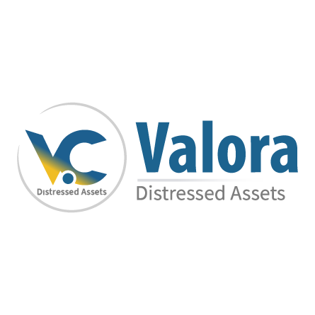 VALORA-SPECIAL-PARTNER-LANDING